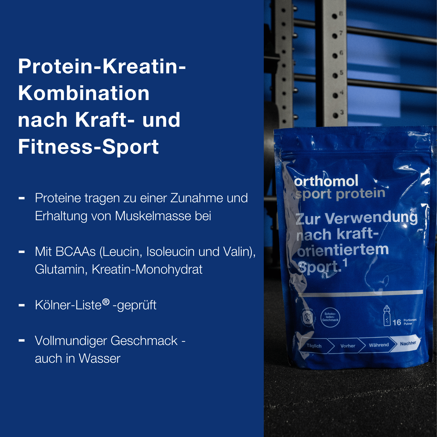 Vorteilspaket XL: Orthomol Sport + protein