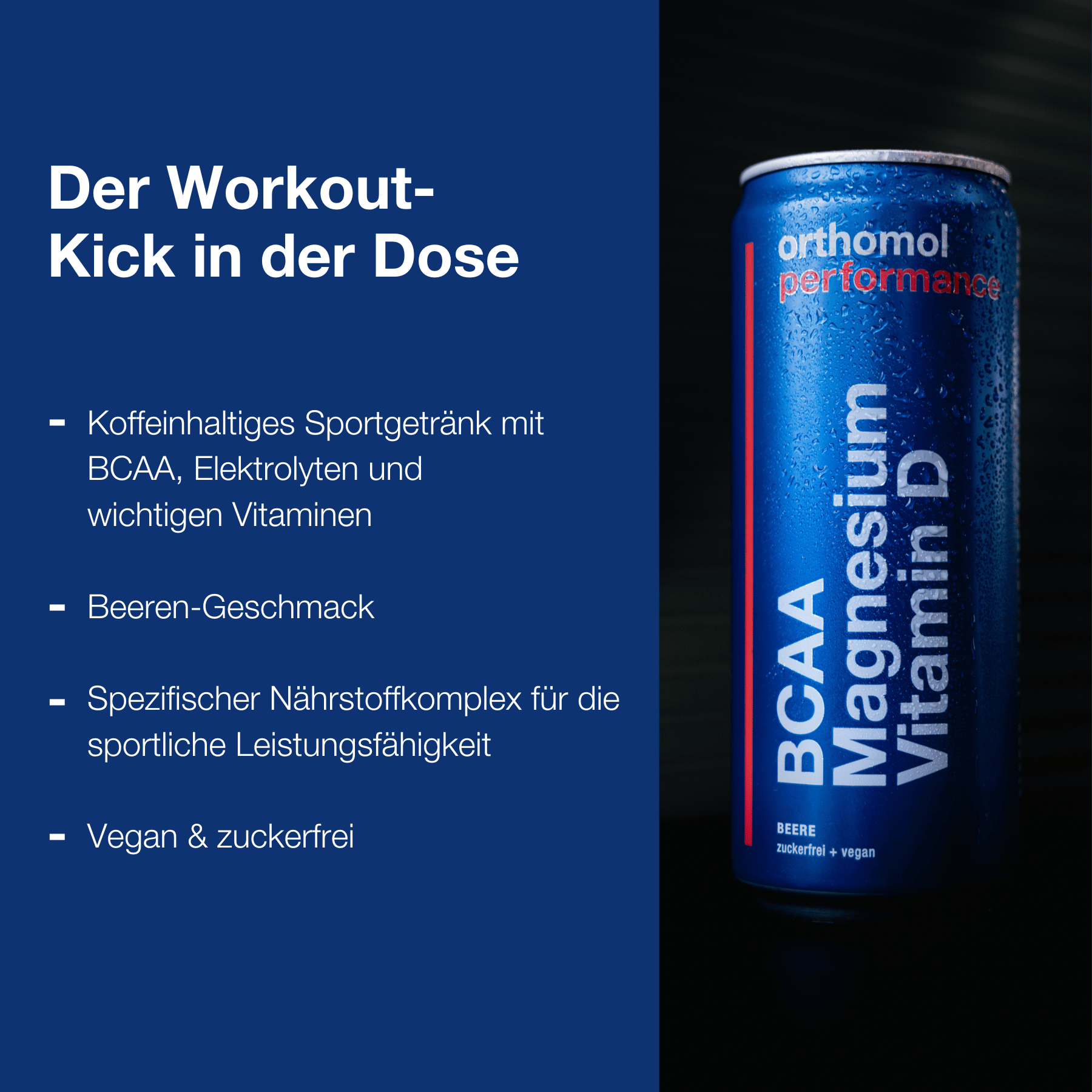 Orthomol Performance - Sportgetränk mit BCAA & Magnesium