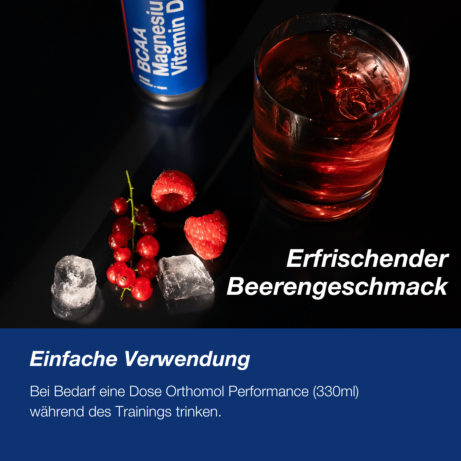 Orthomol Performance (12 x 330 ml)